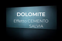 salvia