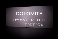 tortora
